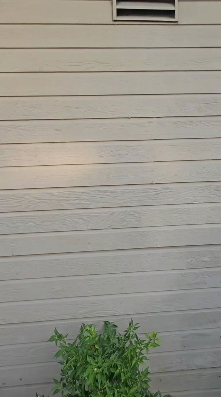 The bare church wall before any paint went up