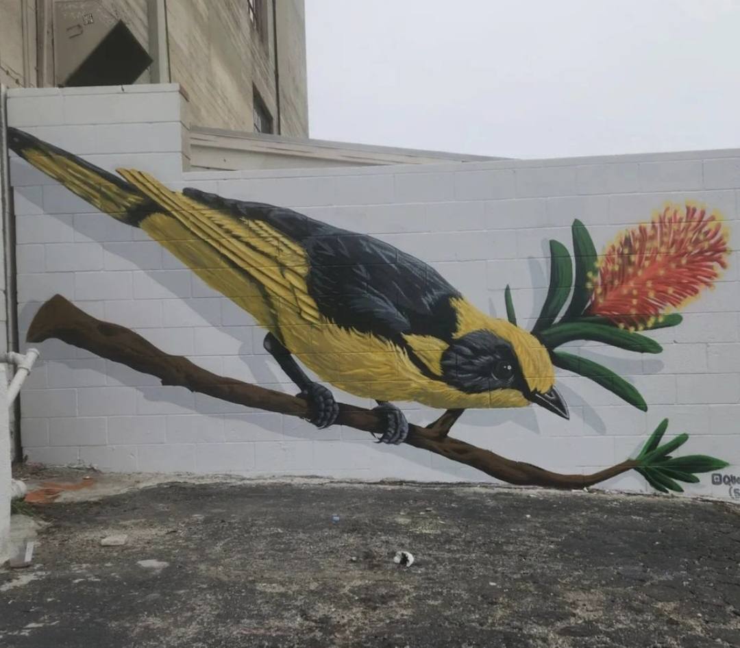 Large yellow and black oriole bird on a branch painted on a white block wall