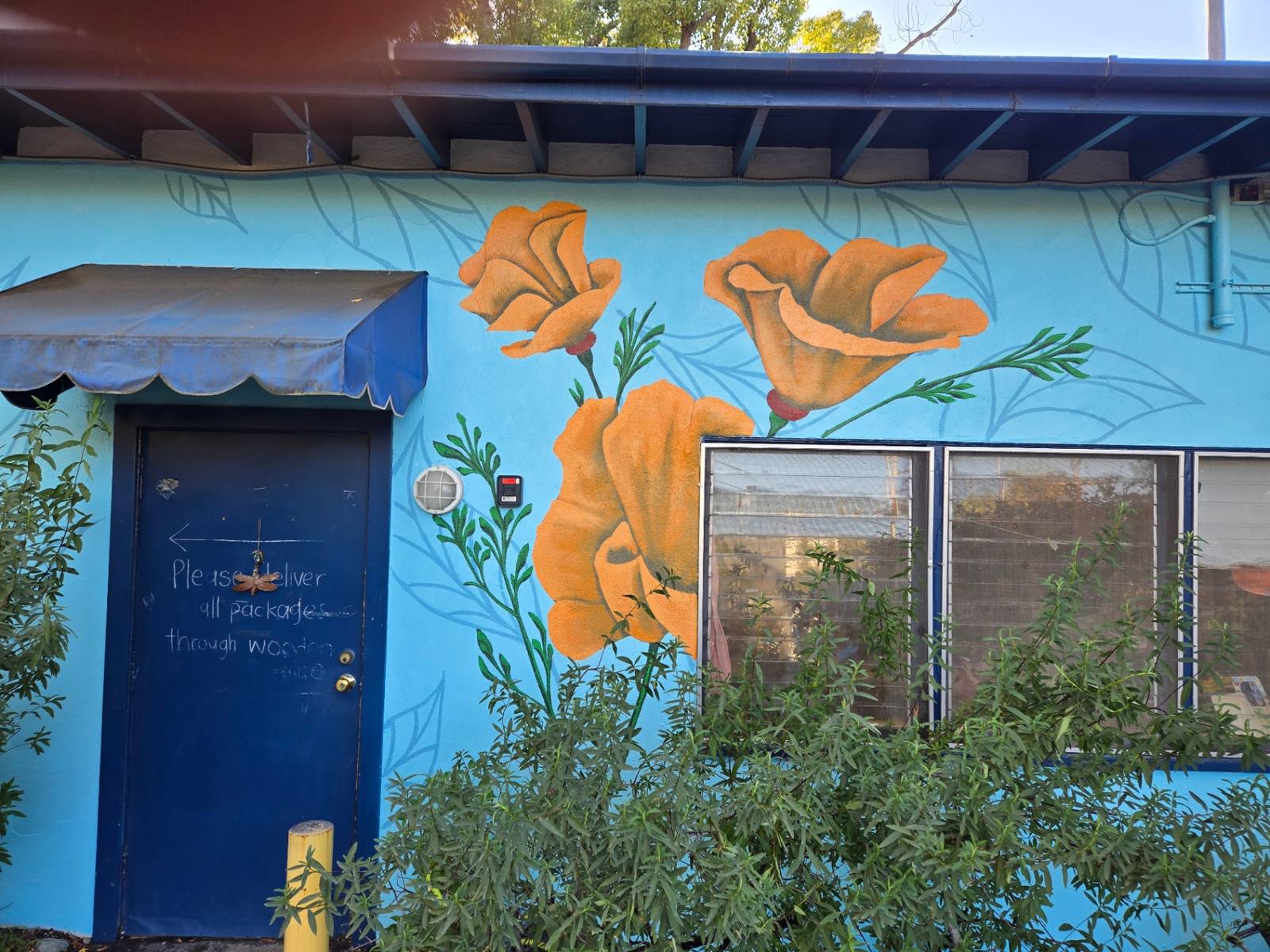Orange California poppies painted on a bright blue stucco building wall